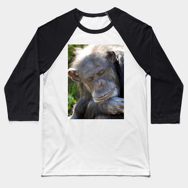 Chimpanzee Baseball T-Shirt by kirstybush